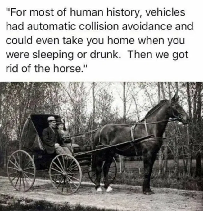 selfdriving.png